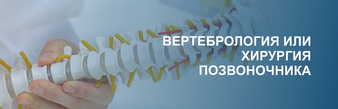 vertebro